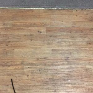 Meet your Posher, Antonia